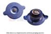 MERCE 0005015815 Radiator Cap